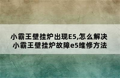 小霸王壁挂炉出现E5,怎么解决 小霸王壁挂炉故障e5维修方法